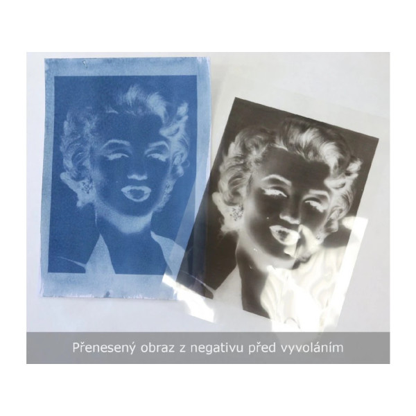 Kyanotypie - Domácí fotolaboratoř