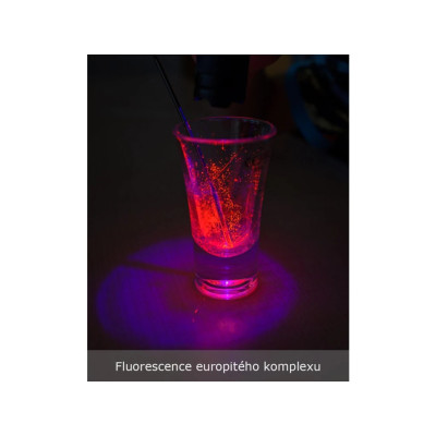 Tajemství Barev: Objevte kouzlo barev a světla s KINT