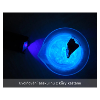 Tajemství Barev: Objevte kouzlo barev a světla s KINT